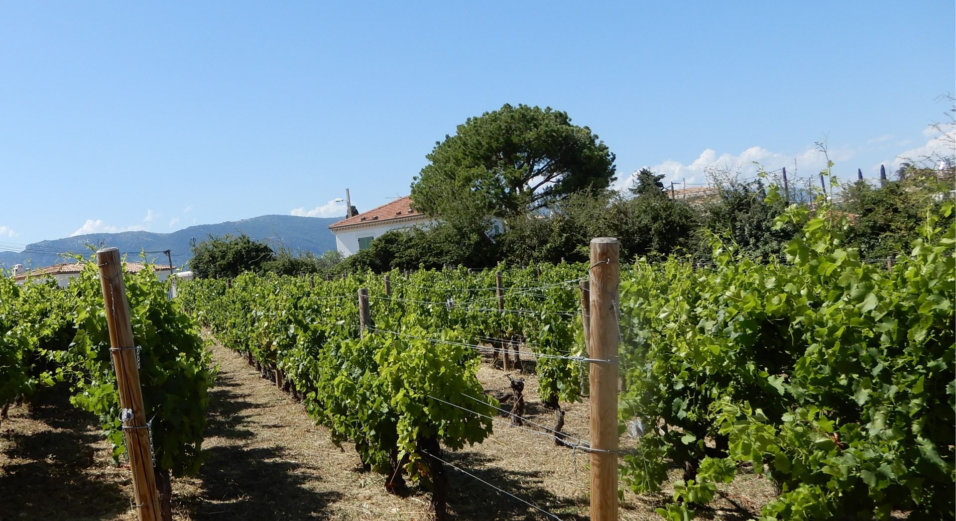 Explore France in 12 days with this comprehensive itinerary and guide! Visit iconic locations, stay in hand-picked accommodations, and enjoy top tours. Get day-by-day recommendations and helpful links for your trip planning.