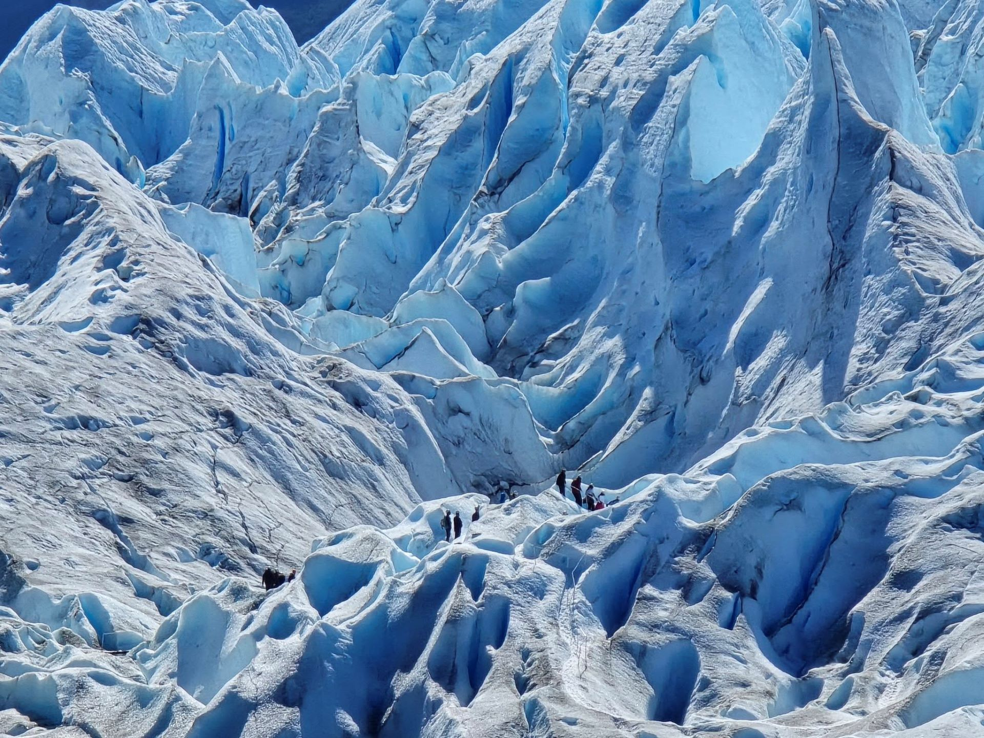 12-Day Argentina Travel Itinerary: Best Attractions, Tours & Hotels for Your Adventure