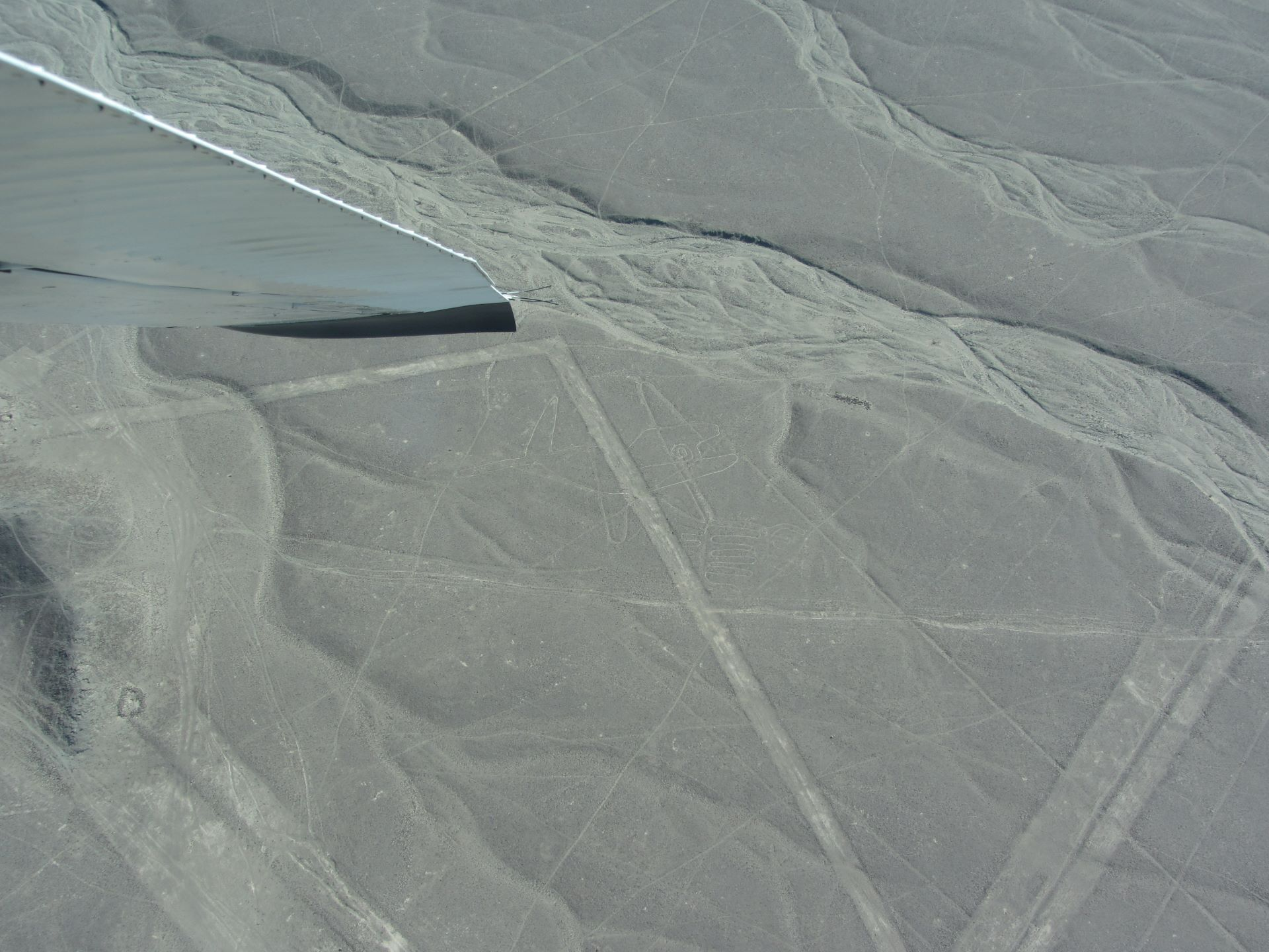 A complete travel guide for Nazca Lines - Peru including our flight experience from Ica, the mystery behind the geoglyphs, where to stay, recommended tours, and essential tips for travellers visiting Nazca.