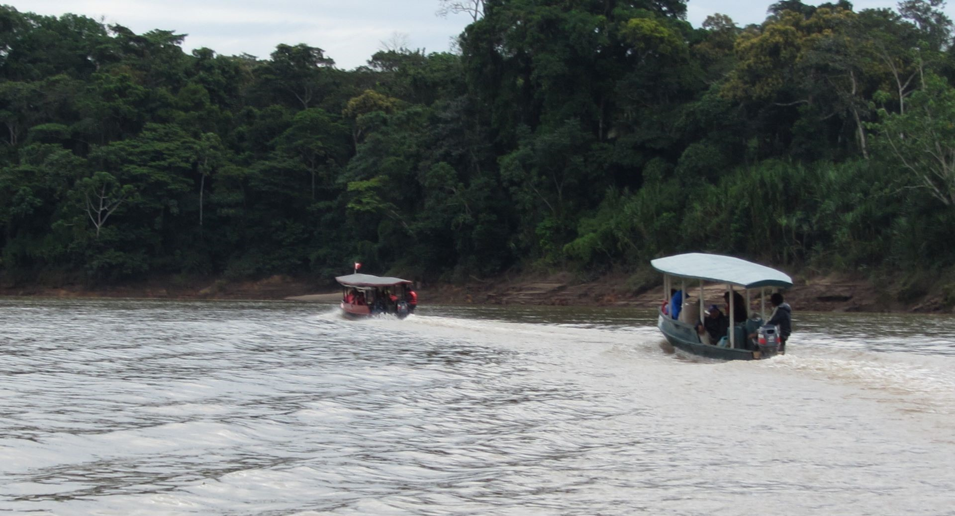 Our Epic 3-Night Journey through Tambopata, Peruvian Amazon