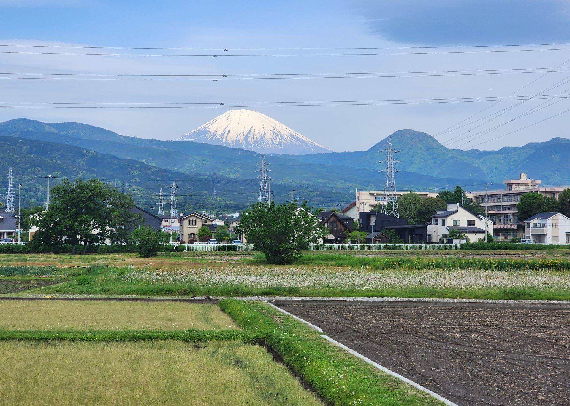 Planning your first trip to Japan? Our 2-week Japan itinerary and travel guide covers trains, Suica cards, arrival tips, hotels, tours, cherry blossoms and more.